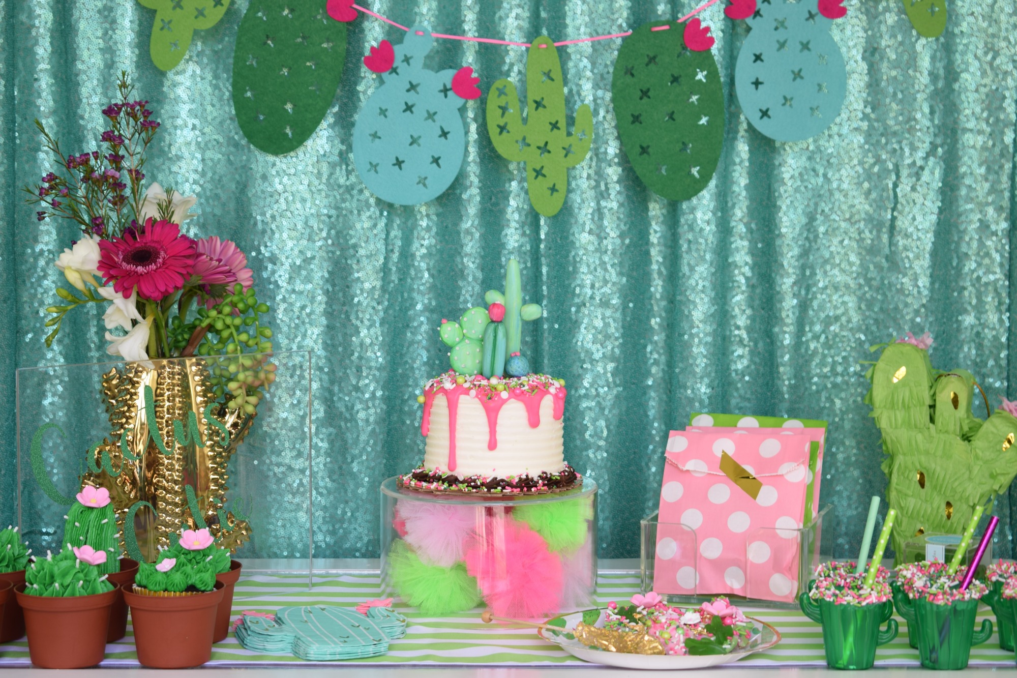 Cactus Cutie Party | Black Twine