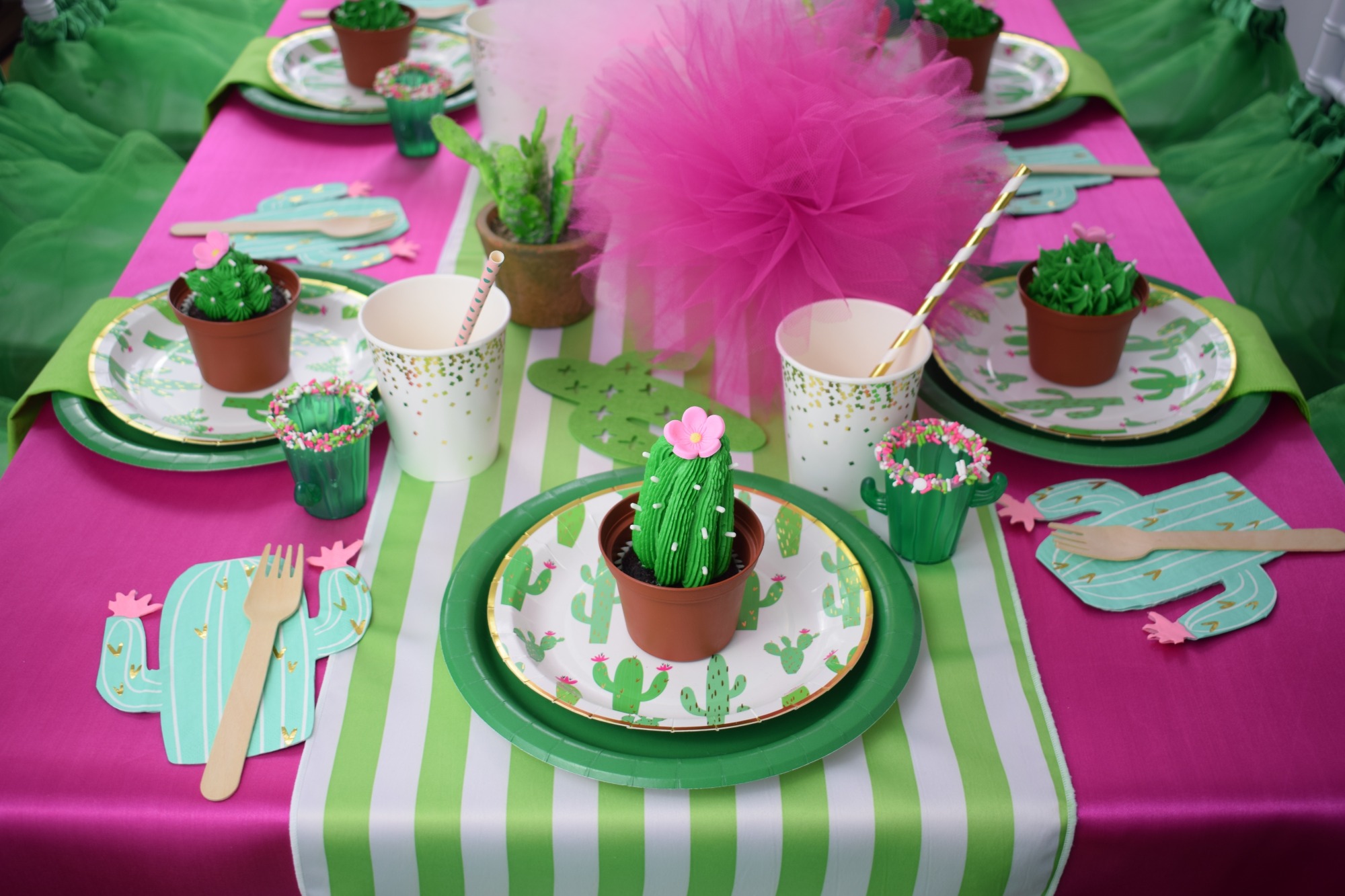 Cactus Cutie Party | Black Twine