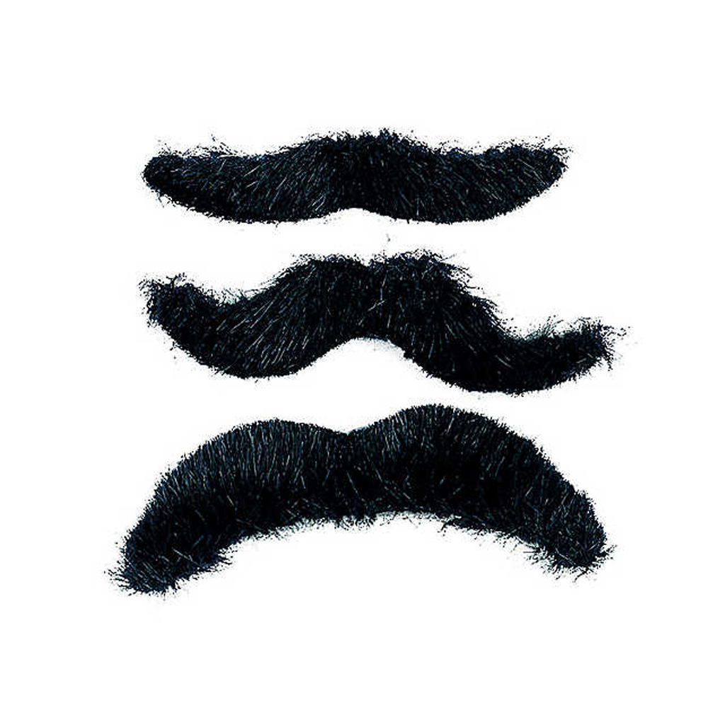 Mustaches from Oriental Trading