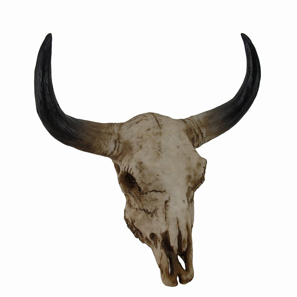 Mini Steer Skull